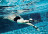 Фиксатор для ног Stationary Swimmer